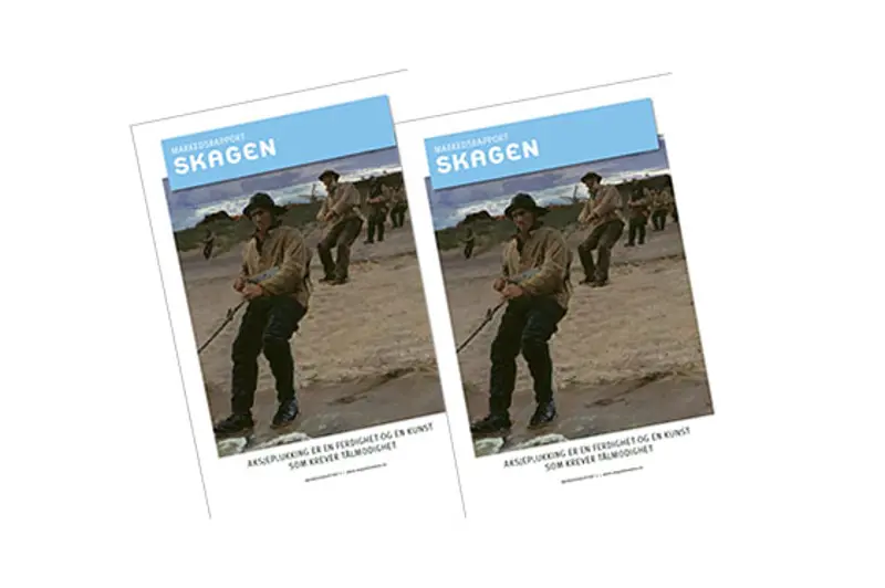 Billede af rapportens forside